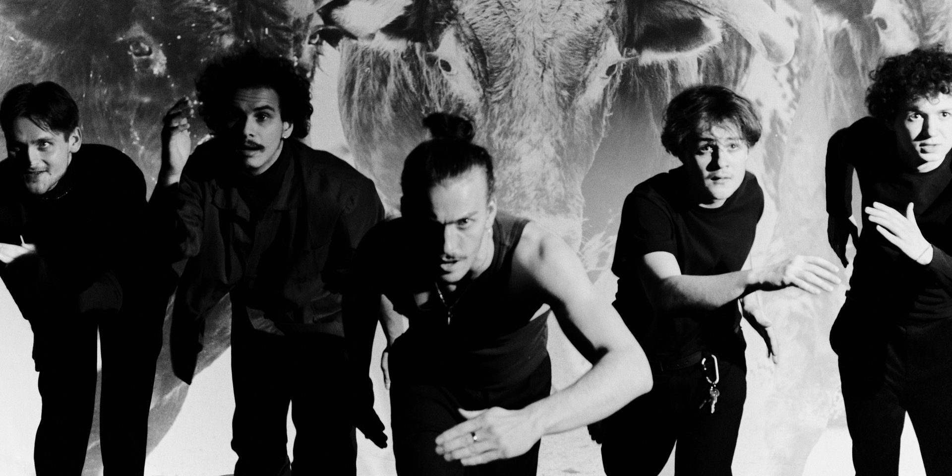 Jordi Casanovas: Smečka